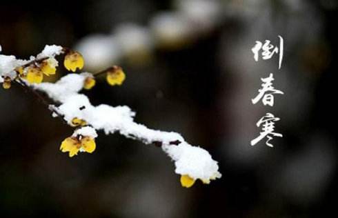 “倒春寒”來勢洶洶，殼寡糖讓作物安全度過“非常時期”！